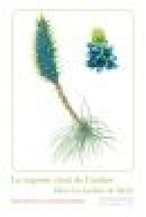 La sagesse vient de l’ombre - Dans les jardins de Sicile