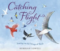 Catching Flight - Soaring on the Wings of Birds