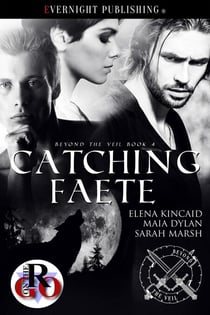 Catching Faete - Beyond the Veil, #4