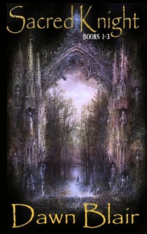 Sacred Knight (box set #1-3) - Sacred Knight