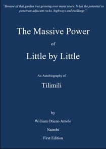 The Massive Power of Little by Little - biography, construction, wealth creation
