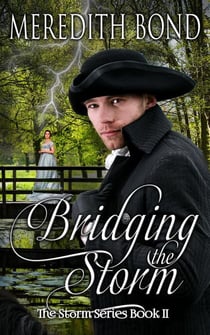Bridging the Storm - Storm, #2