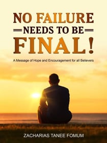 No Failure Needs to be Final! - Other Titles, #5