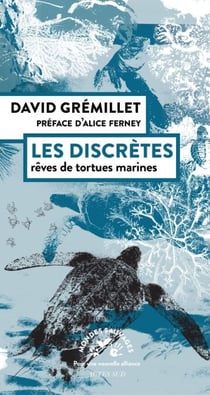 Les discrètes - Rêves de tortues marines