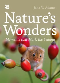 Nature’s Wonders - Moments that mark the seasons