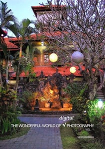The Wonderful World of Digital Photography Vol.1 - The Wonderful World of Digital Photography, #1