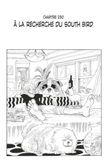 One Piece édition originale - Chapitre 230 - À la recherche du south bird