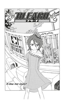 Bleach - T04 - Chapitre 29 - Stop that stupid!!