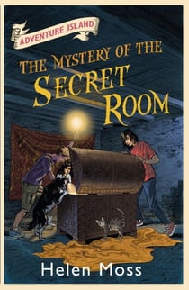 The Mystery of the Secret Room - Book 13