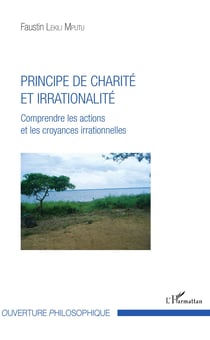 Principe de charité et irrationalité - Comprendre les actions et les croyances irrationnelles