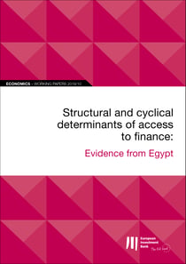EIB Working Papers 2019/10 - Structural and cyclical determinants of access to finance - Evidence from Egypt