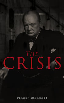 The Crisis - Civil War Novel