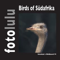 Birds of Südafrika - fotolulus Bildband VI