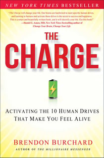 The Charge - Activating the 10 Human Drives That Make You Feel
