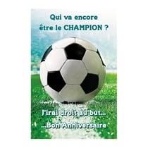 Carnet de la vie - code 16 11x17
