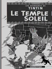 Les aventures de Tintin Tome 14 : le temple du soleil
