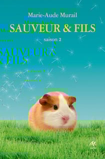 Sauveur & Fils : Saison 2
