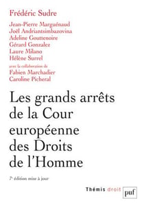 Les grands arrêts de la cour européenne des droits de l'homme (7e édition)