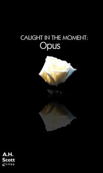 Caught In The Moment: Opus