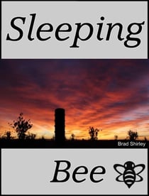 Sleeping Bee