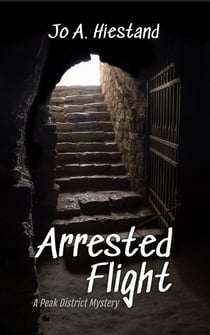 Arrested Flight - The McLaren Mysteries, #8