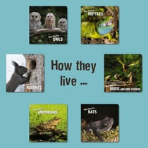 How they live - Learn All There Is to Know About Animals!