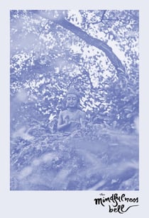 The Mindfulness Bell: No Birth, No Death, Only Continuation, Issue 90, 2022 - A journal of the art of mindful living in the Plum Village tradition of Thich Nhat Hanh