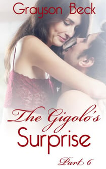 The Gigolo's Surprise - The Adventures of a Young Male Prostitute, #6