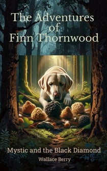 Mystic and the Black Diamond - The Adventures of Finn Thornwood, #1