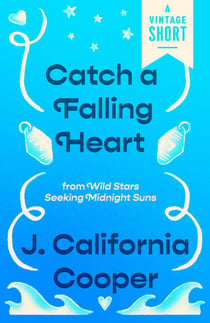 Catch a Falling Heart - from Wild Stars Seeking Midnight Suns