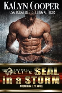 SEAL in a Storm - Silver SEALs, #5