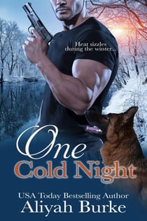 One Cold Night - Prince Brothers, #1