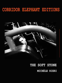 The soft stone - livre photographique