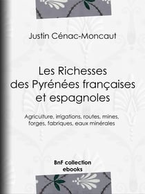 Les Richesses des Pyrénées françaises et espagnoles - Ce qu'elles furent, ce qu'elles sont, ce qu'elles peuvent être - Agriculture, irrigations, routes, mines, forges, fabriques, eaux minérales