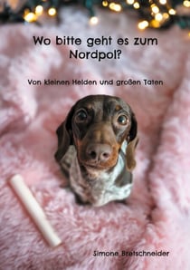 Wo bitte geht es zum Nordpol? - Von kleinen Helden und großen Taten