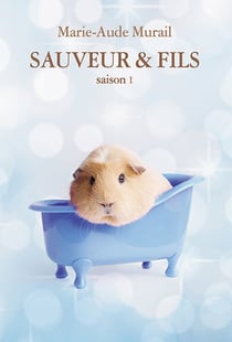 Sauveur & Fils : Saison 1