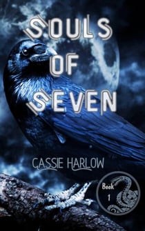 Souls of Seven - Souls Series, #1
