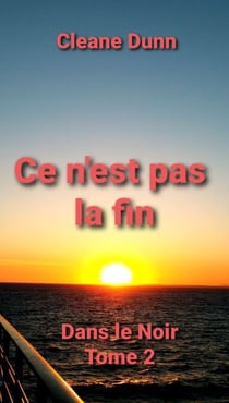 Ce n'est pas la fin - Dans le Noir - Tome 2