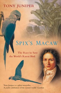 Spix’s Macaw - The Race to Save the World’s Rarest Bird (Text Only)