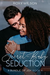 Secret Baby Seduction - A Bundle of Joy, #4