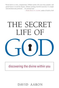 The Secret Life of God - Discovering the Divine within You