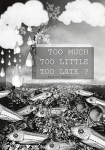 Too Much Too Little Too Late ? - Sanaton kuvakirja