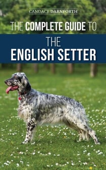 The Complete Guide to the English Setter