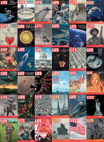 Puzzle 1000 pièces - Life covers