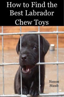 How to Find the Best Labrador Chew Toys - Dog training, #4