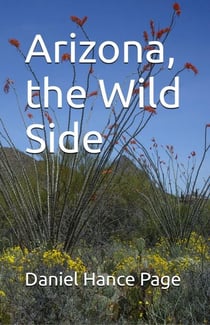 Arizona, the Wild Side