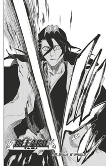 Bleach - T19 - Chapitre 166 - Black & White 2
