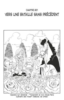 One Piece édition originale - Chapitre 801 - Vers une bataille sans précédent
