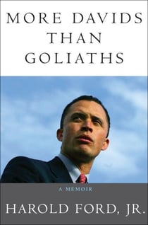 More Davids Than Goliaths - A Political Education