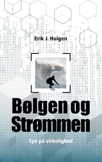 Bølgen og strømmen - Syn på virkeligheden